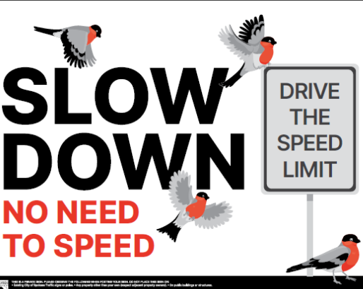 a sign that says "slow down, no need to speed. Drive the speed limit" with 4 robins.